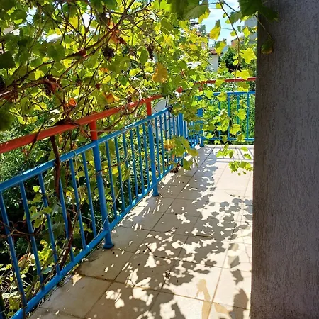 דירה аполония דוני